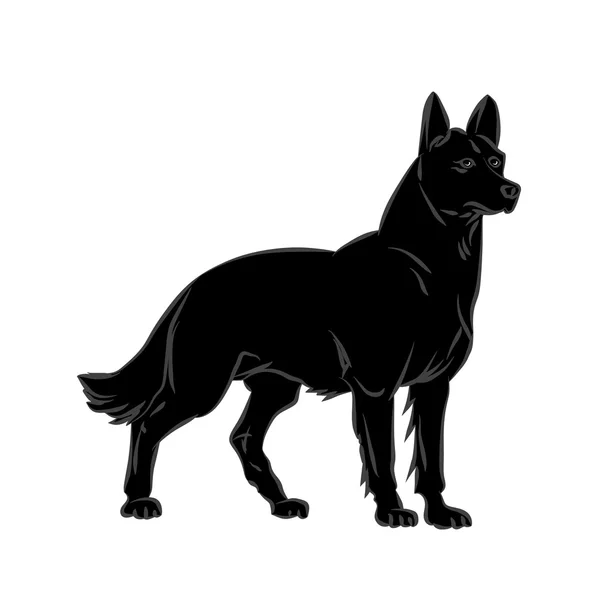 Imagen vectorial de un perro — Vector de stock