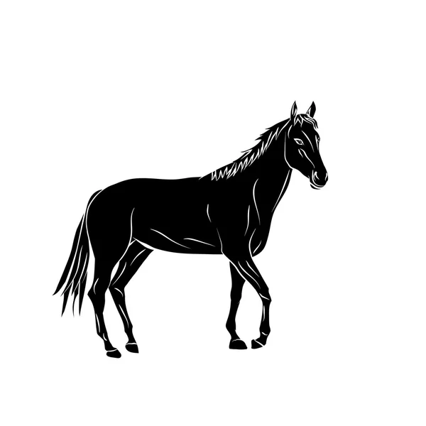 Sílhueta vetorial. Cavalo de desenho animado . — Vetor de Stock