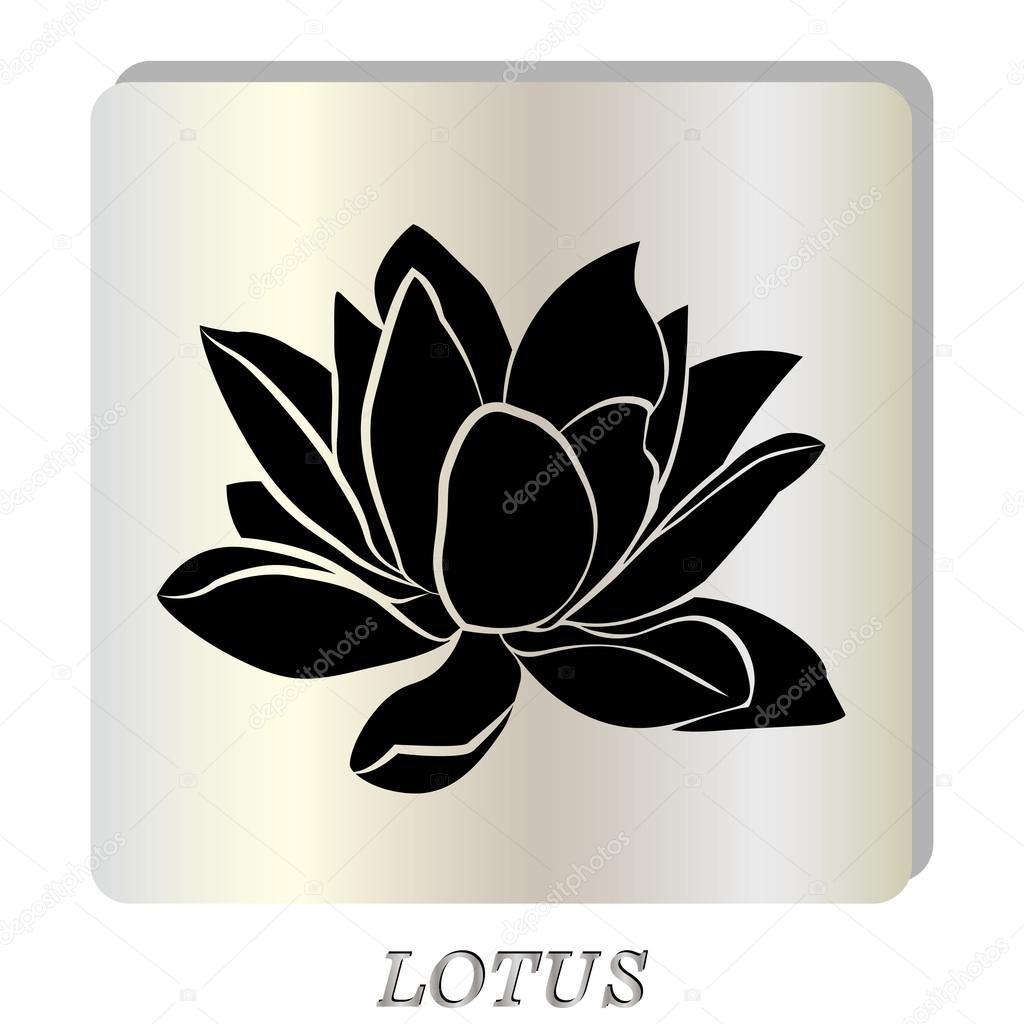 Lotus Flowers Icon Stock Vector Image By C Likka