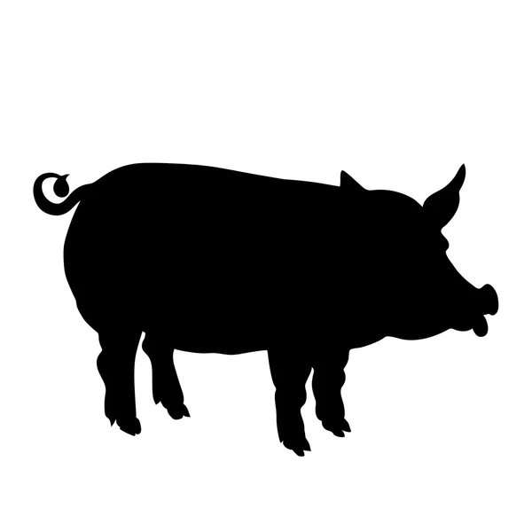 Pig black  silhouette — Stock Vector