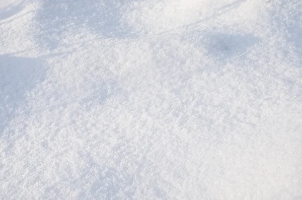 Kabarık kar portre — Stok fotoğraf