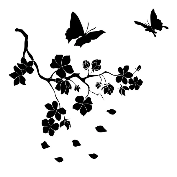 dal kiraz çiçekleri ve kelebekler