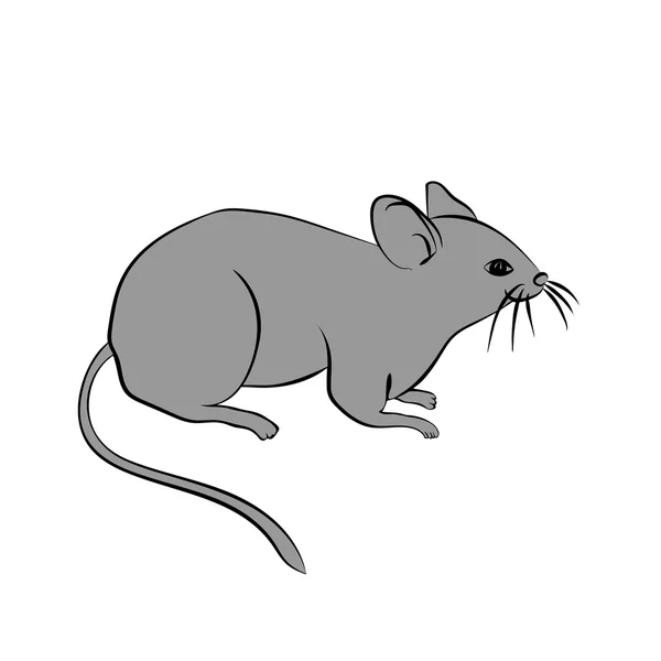 Silueta vectorial del ratón — Vector de stock
