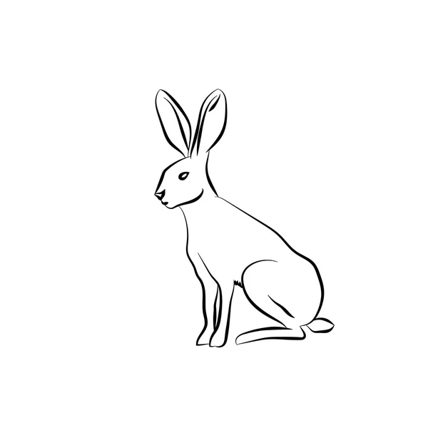 Black outline rabbit — Stock Vector