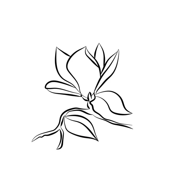 Bloeiende tak van de Magnolia op witte achtergrond vectorillustratie — Stockvector