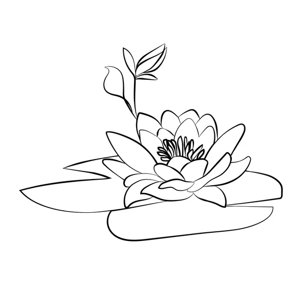 Icono de flores de loto — Vector de stock