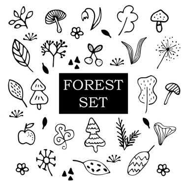 Ormanda elle çizilmiş eşyalar. Ağaçlar, yapraklar ve çimenler. Vektör Doodle