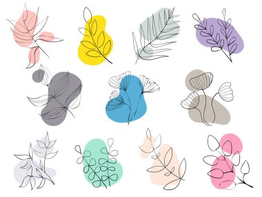 Yapraklı bir dal doğal bir çizgidir. Minimalist tasarım. Vektör illüstrasyonu