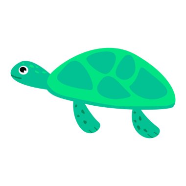 Beyaz arka planda izole edilmiş şirin deniz kaplumbağası.