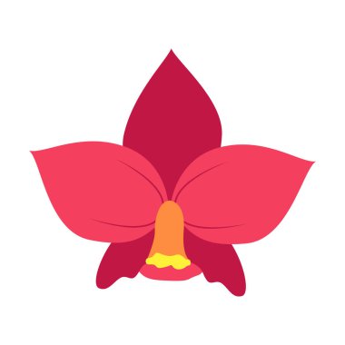 Tropik orkide çiçeği. Beyaz bir arka planda izole edilmiş. Vektör illüstrasyonu