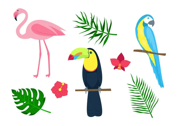 Conjunto de aves tropicales, hojas de palma y flores. Aislado sobre un fondo blanco. — Vector de stock