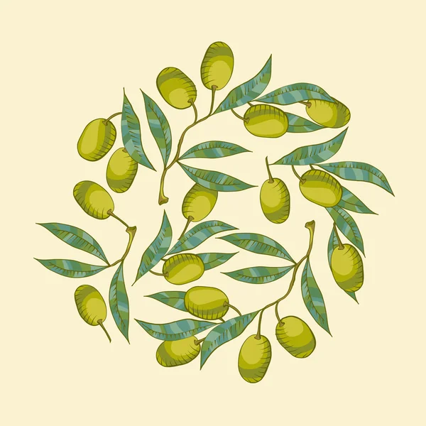 Background with Olive branch — Stock Vector