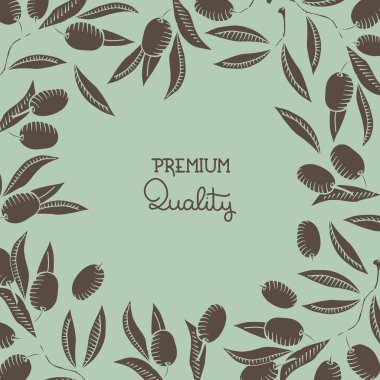 zeytin dalı ile arka plan