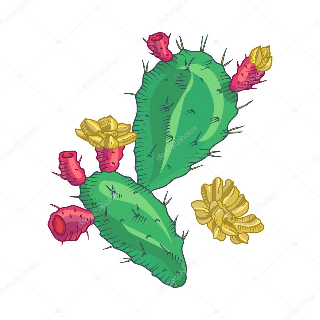 Cactus flower, cactus isolated. Pot Cactus logo. Cactus icon, Vector cactus pot. Cartoon Cactus Illustration. Dessert flora. Green Cactus, dwarf cactus.
