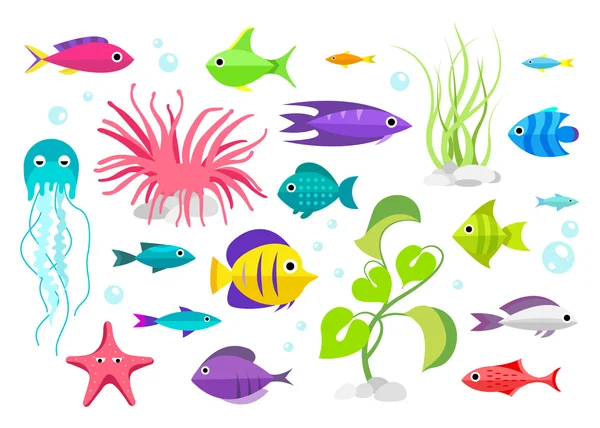 Cartoon fish collection set — Stock Vector