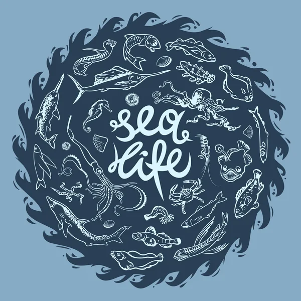 Sea life — Stock Vector