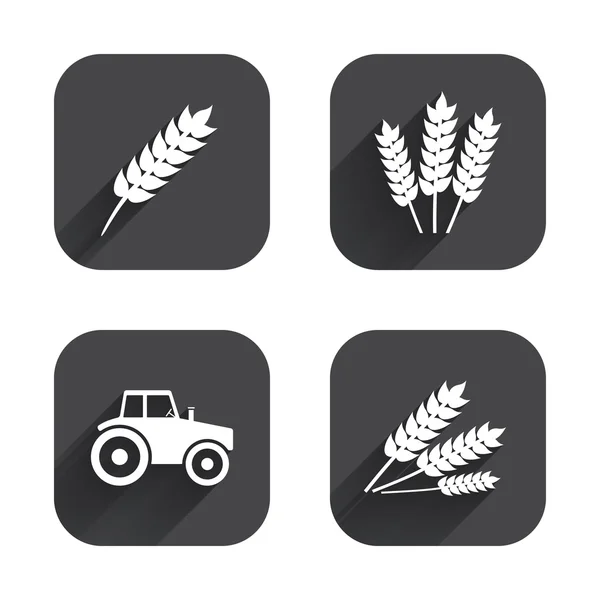 Agricultural icons. Wheat corn — Stock Vector