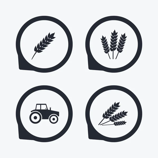 Iconos agrícolas. Maíz de trigo — Vector de stock