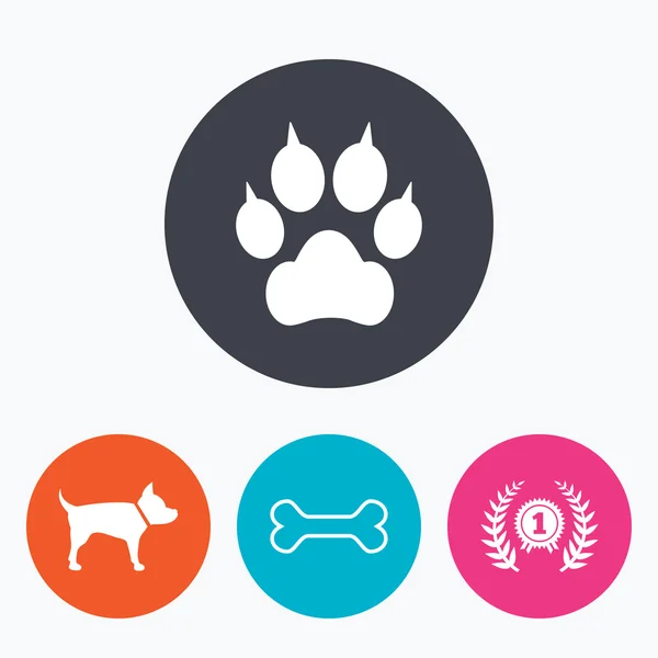 Iconos de mascotas. Pata de gato — Vector de stock