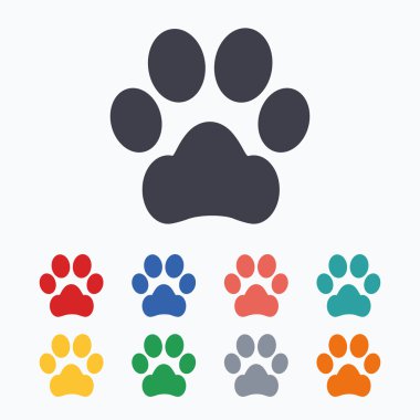 Köpek pençe işaretleri