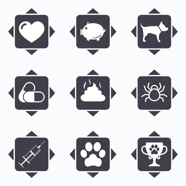 Veterinário, ícones de animais de estimação . —  Vetores de Stock