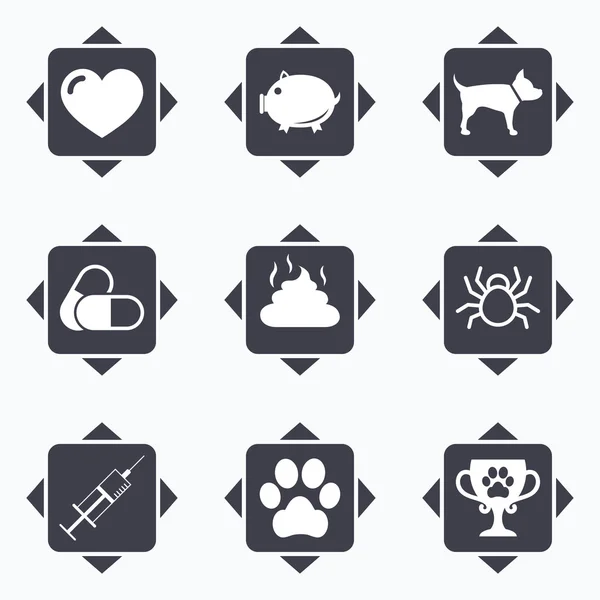 Veterinary, pets icons. — Stock Vector