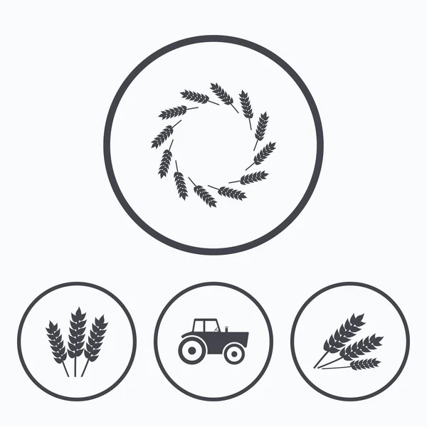 Icônes agricoles. Blé sans maïs ou sans gluten . — Image vectorielle