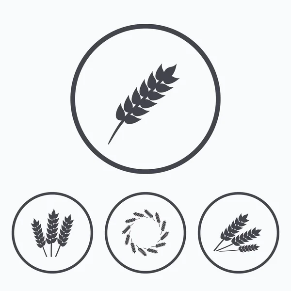 Iconos agrícolas. Símbolos sin gluten . — Vector de stock