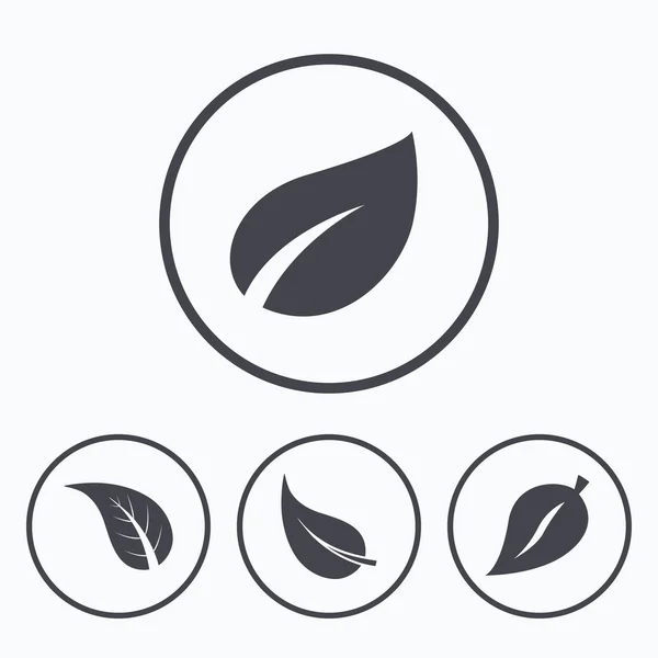 Icono de la hoja. Producto natural fresco — Vector de stock