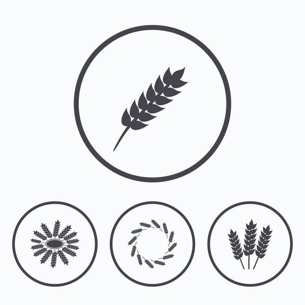 Agricultural icons. Gluten free symbols. — Stock Vector