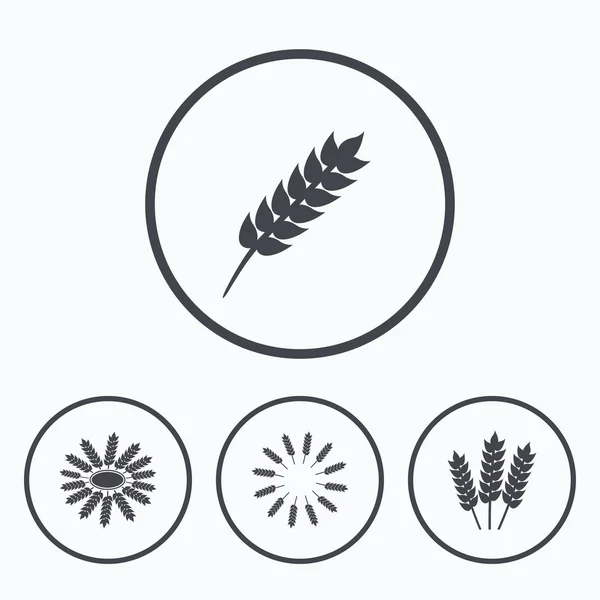 Iconos agrícolas. Símbolos sin gluten . — Vector de stock