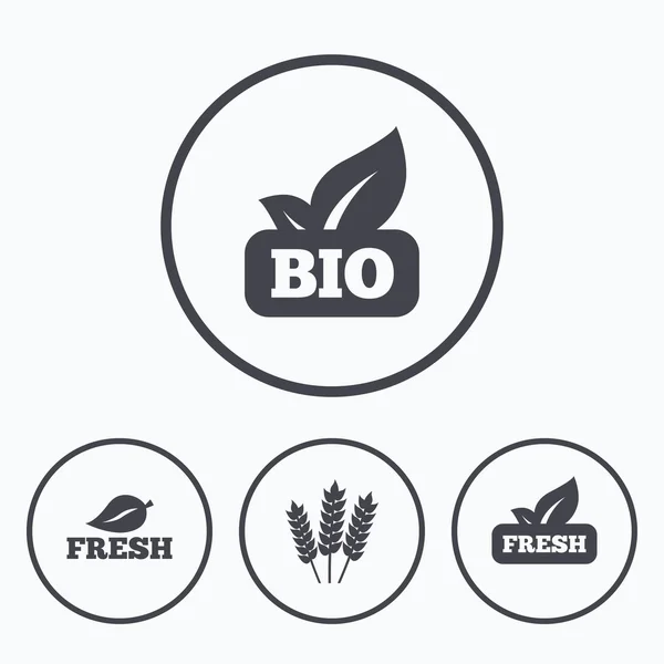 Natural fresh Bio food icons. — Stock Vector