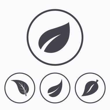 Yaprak simgesi. Taze doğal ürün 