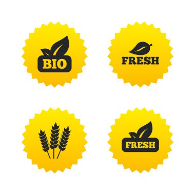 Doğal taze biyo gıda simgeler.