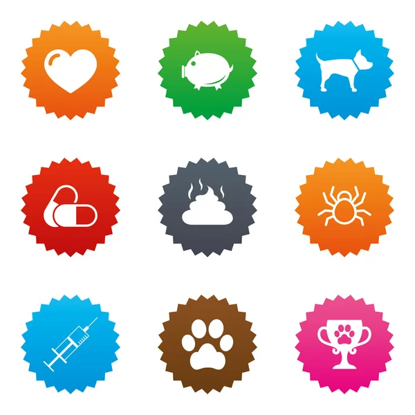 Veterinary, pets icons. Dog paw, syringe signs. — Stock Vector