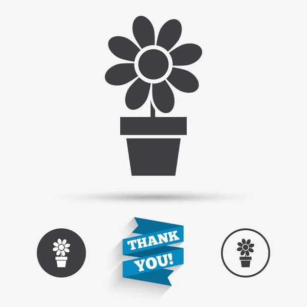 Bloemen in pot teken pictogram. — Stockvector