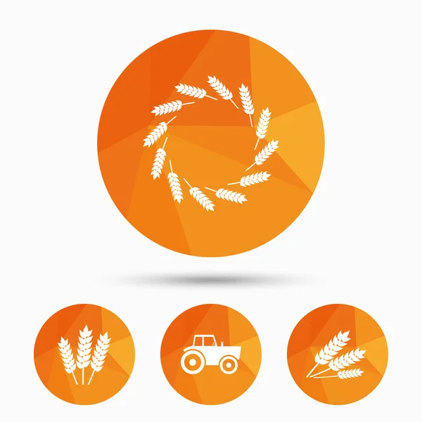 Agricultural icons. Wheat corn — Stock Vector