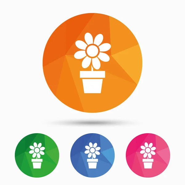 Bloemen in pot teken pictogram. — Stockvector