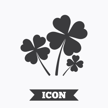 Yonca dört işaret bırakır. St Patrick sembolü.