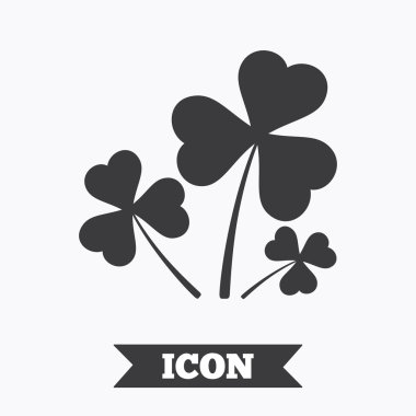 Yonca üç işaret bırakır. St. Patrick.