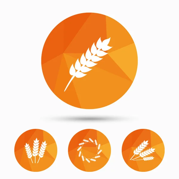 Landbouw pictogrammen. gluten vrije symbolen. — Stockvector