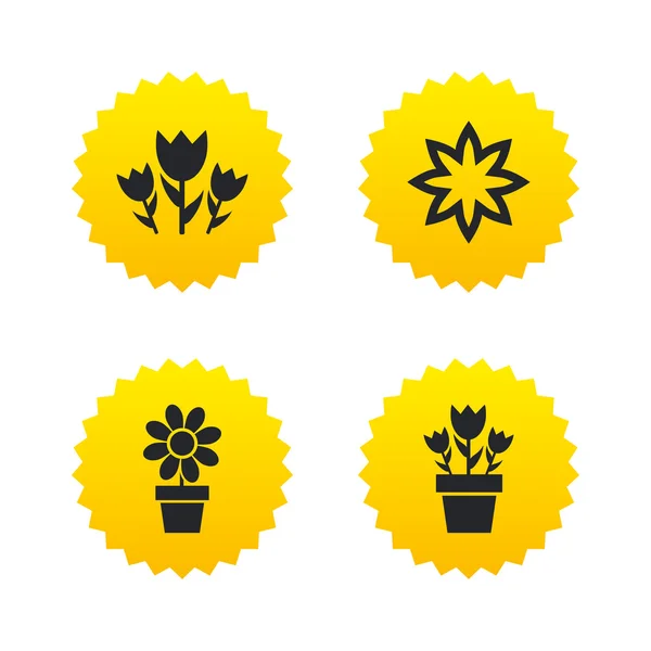 Flowers, Bouquet icons — Stock Vector