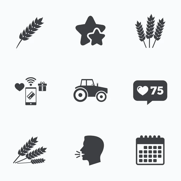 Agricultural icons. Wheat corn or Gluten free. — Stock Vector