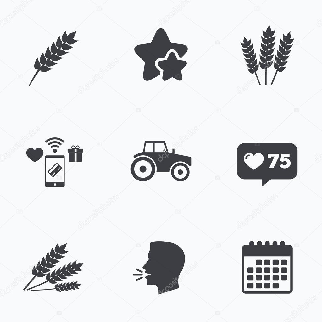 Agricultural icons. Wheat corn or Gluten free.