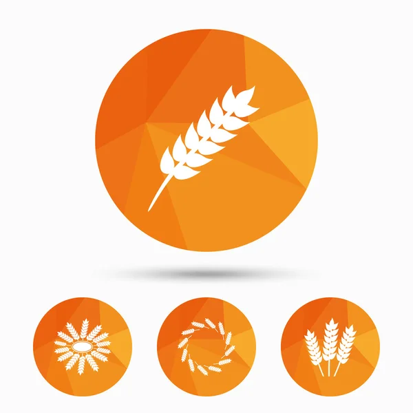 Agricultural icons. Gluten free symbols. — Stock Vector