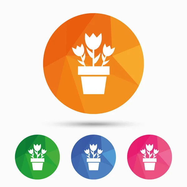 Bloemen in pot teken pictogram. boeket rozen. — Stockvector