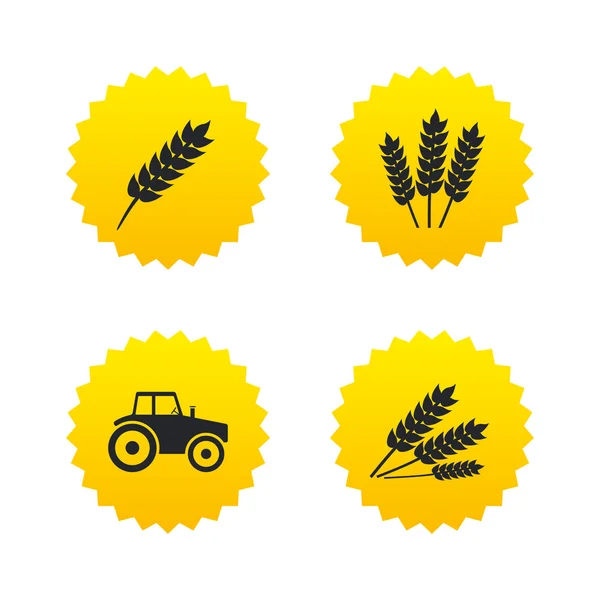 Agricultural icons. Wheat corn or Gluten free. — Stock Vector