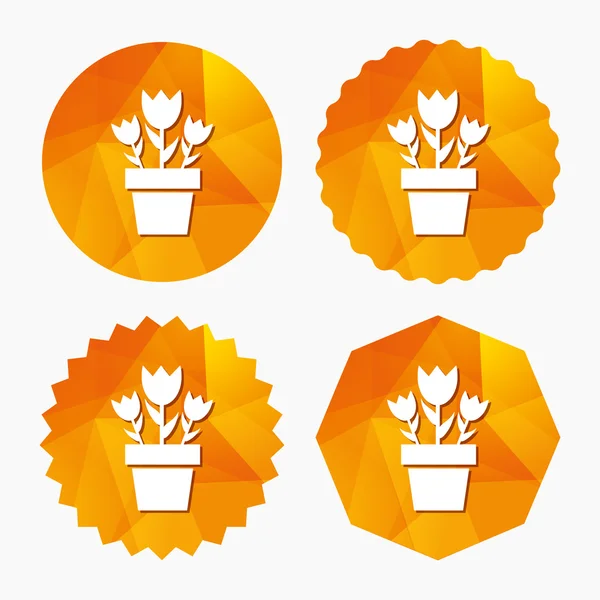 Bloemen in pot teken pictogram. boeket rozen. — Stockvector