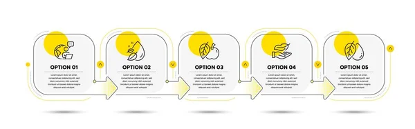 Wassertropfen Mineralöl Und Lightweight Line Symbole Gesetzt Zeitachse Prozess Flussdiagramm — Stockvektor