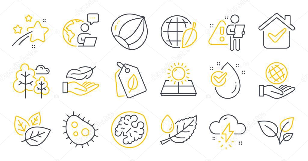 Set of Nature icons, such as Environment day, Tree, Leaf dew symbols. Thunderstorm weather, Safe planet, Sun energy signs. Lightweight, Hazelnut, Walnut. Water drop, Organic tested, Leaves. Vector